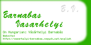 barnabas vasarhelyi business card